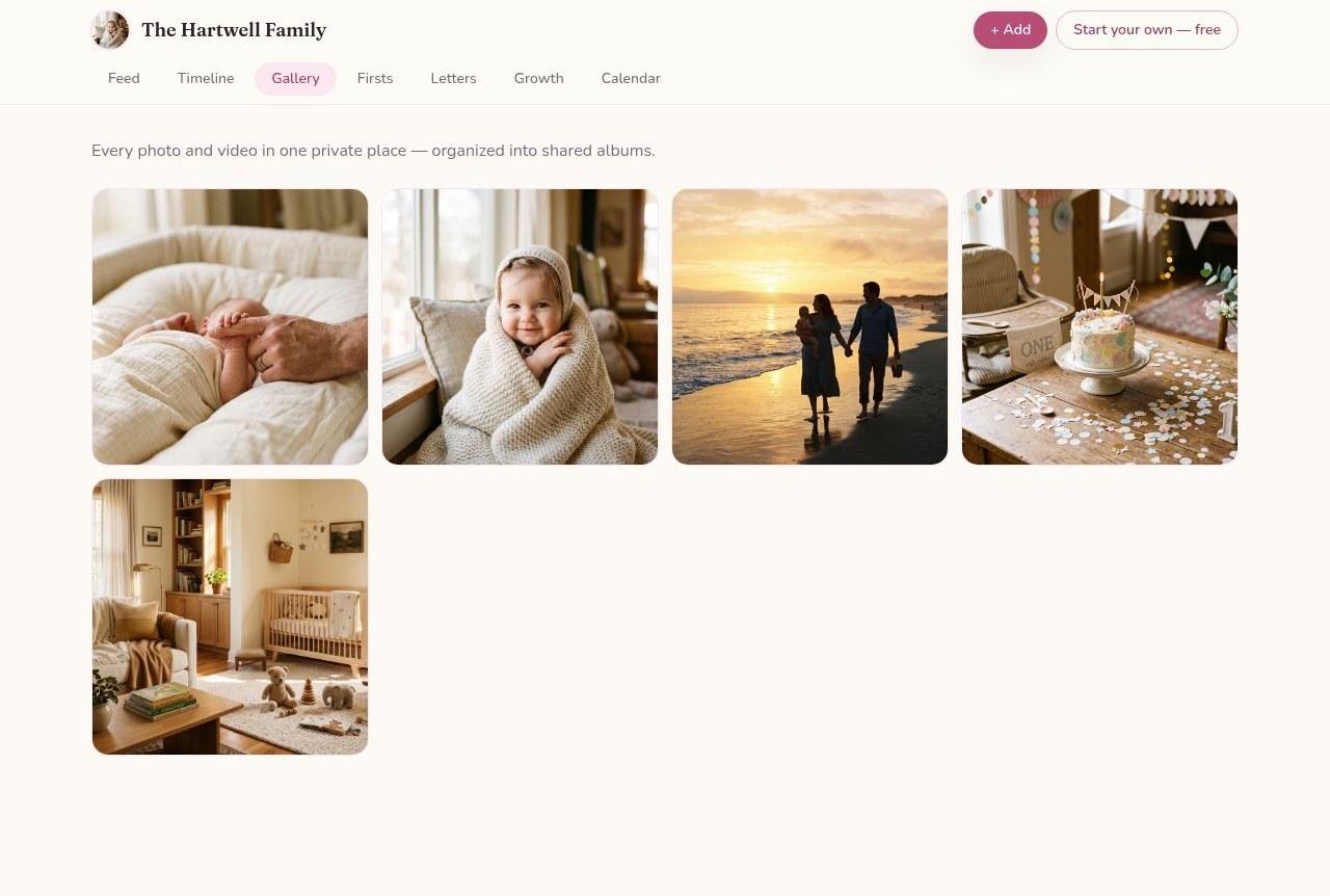 Shared photo & video gallery