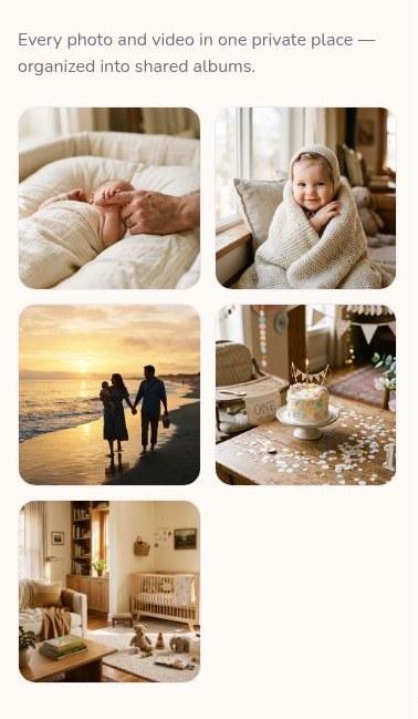 Every photo and video, organized into shared albums